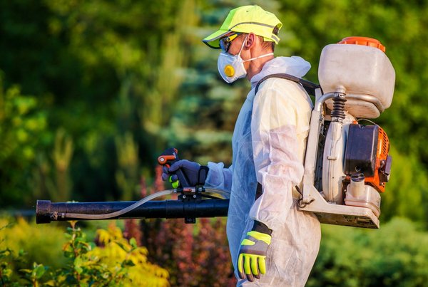 Solutions écologiques avec anti nuisible bio pour vos parasites
