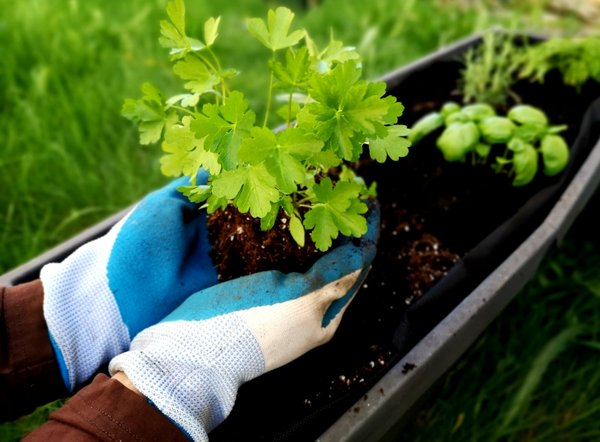 Pourquoi choisir une jardinière en fibre de verre ?