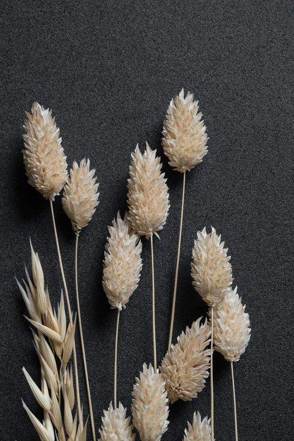 Fleurs séchées décoration d'intérieur : élégance et durabilité