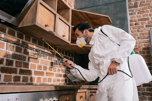 Expert anti nuisibles dans la drôme : eden vert 3d à votre rescousse