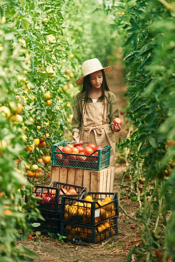 Solutions innovantes pour un urbanisme durable avec bac jardin