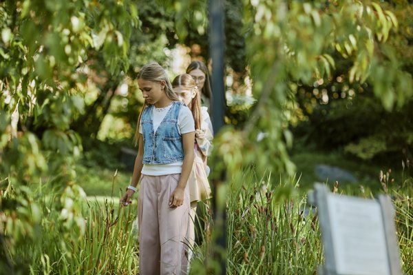 Maîtrisez l'entretien de votre jardin grâce à un installateur de tondeuses robotisées